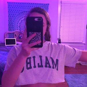Brandy Melville cropped Malibu tee
